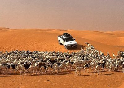 Car in the desert during rally