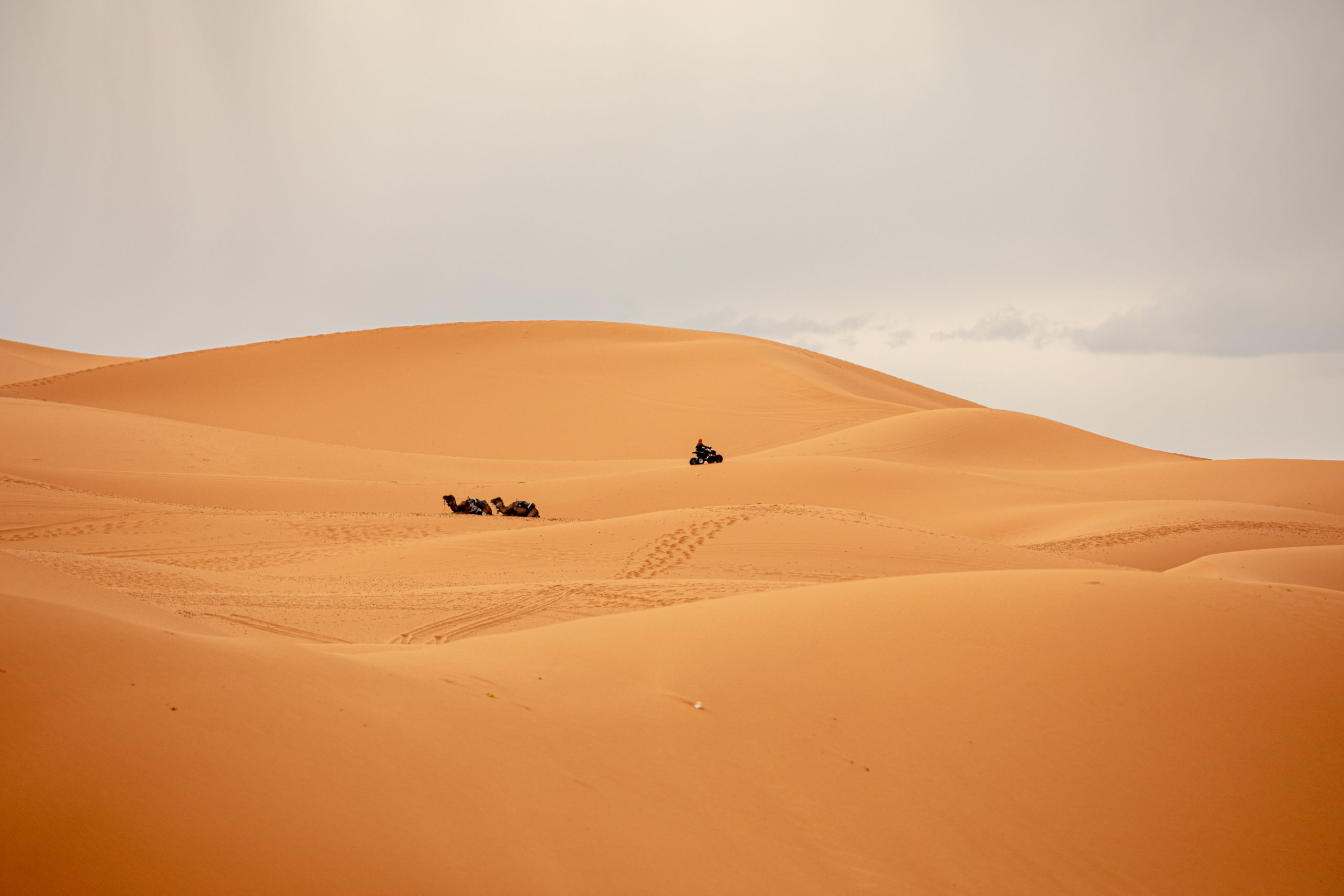 Digging in the desert during The Real Way to Dakar