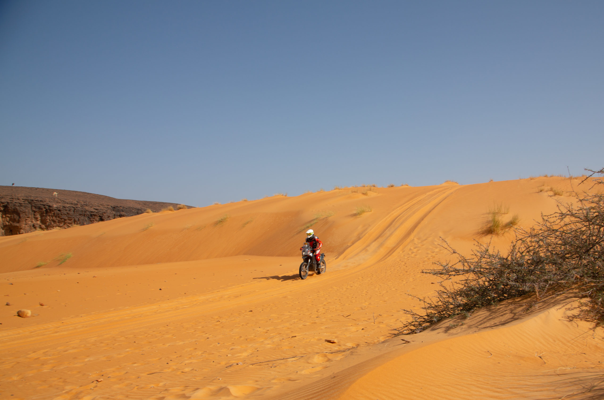 Buggy /UTV in desert rally